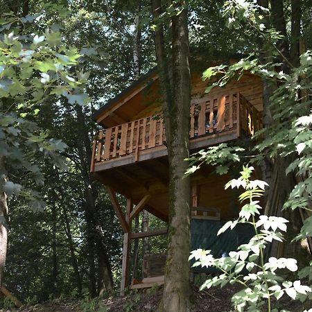 Treehouse Velke Losiny Luaran gambar