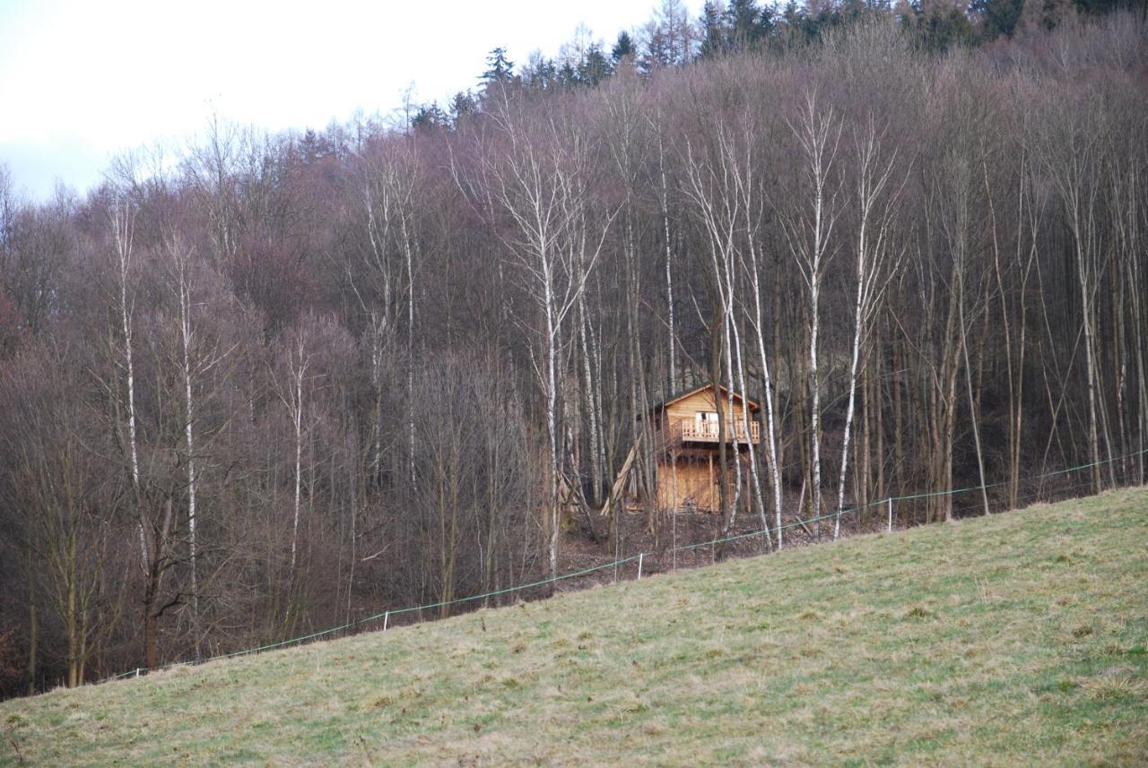 Treehouse Velke Losiny Luaran gambar