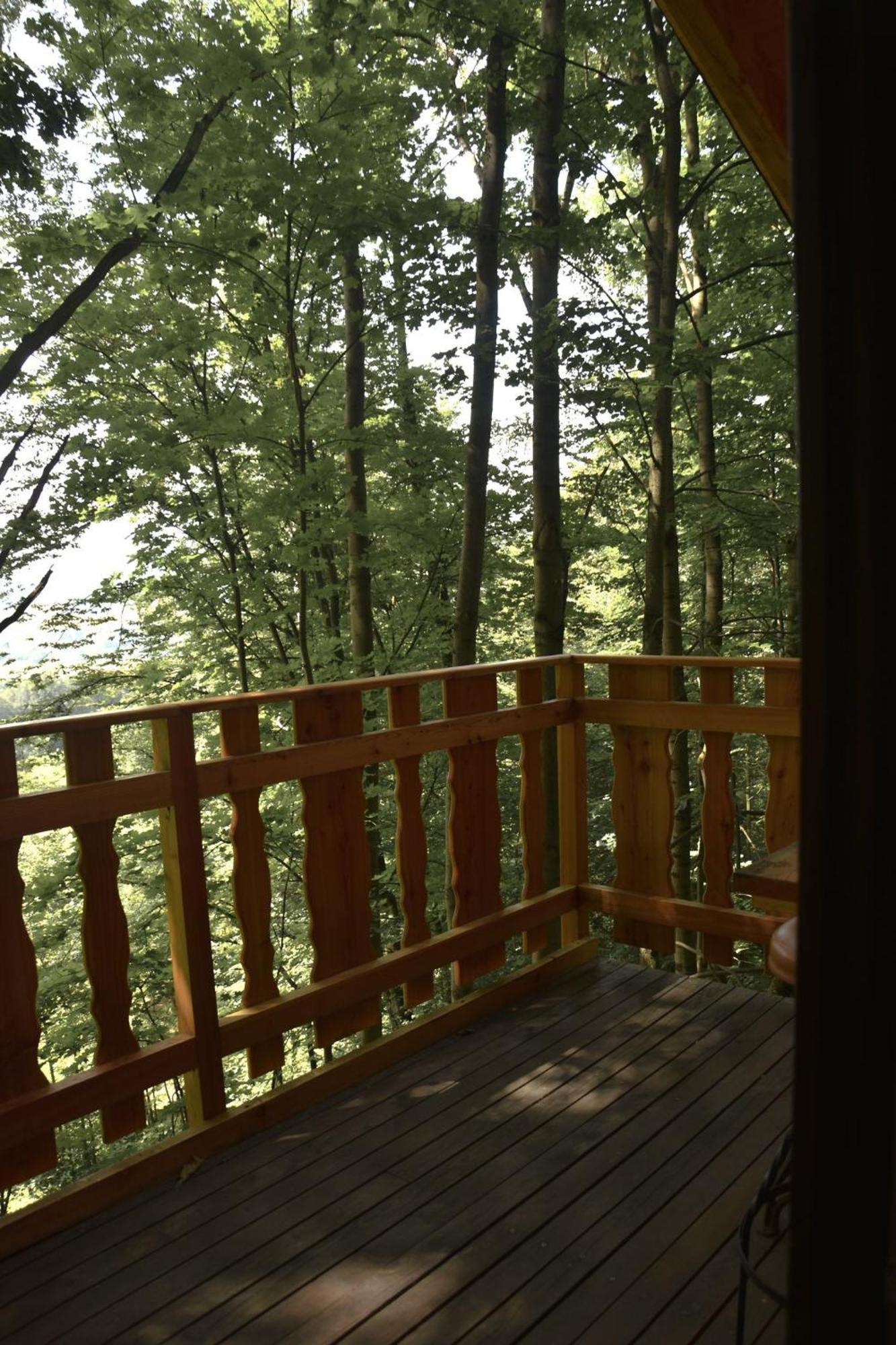 Treehouse Velke Losiny Luaran gambar