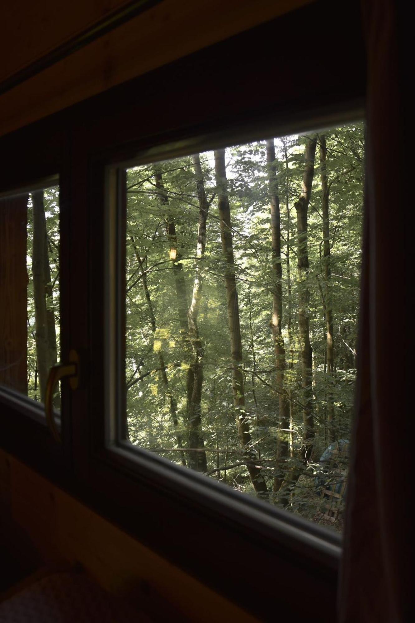 Treehouse Velke Losiny Luaran gambar